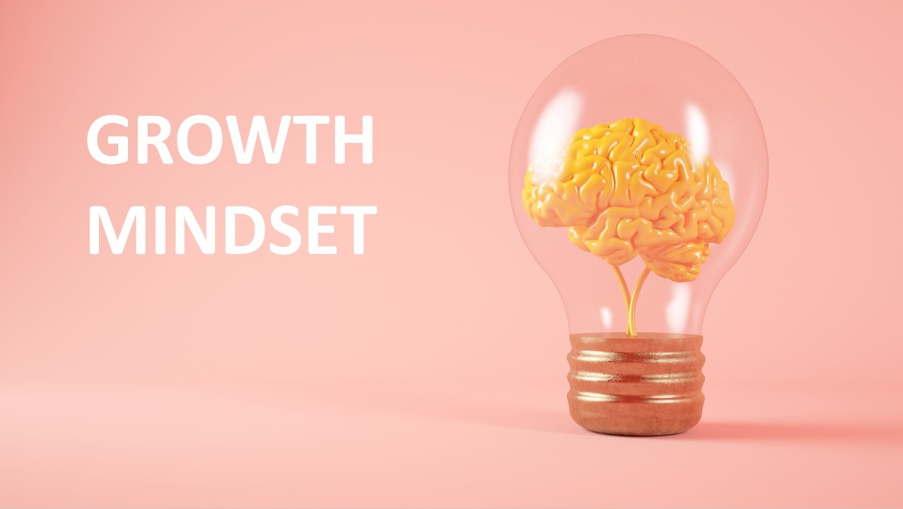 Mindset at Work